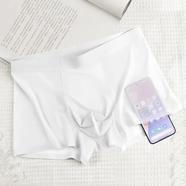 4 PCS - Ultra-Thin Ice Silk Men's Boxer Shorts