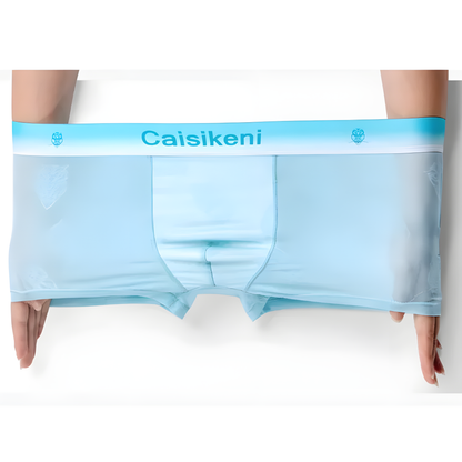4 PCS Ultra-Light Charm Men’s Boxers